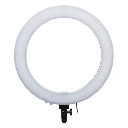 Ring Light 19 polegadas Exbom R19W72