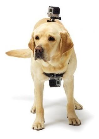 Suporte Peitoral Canino GoPro - ADOGM-OQ1