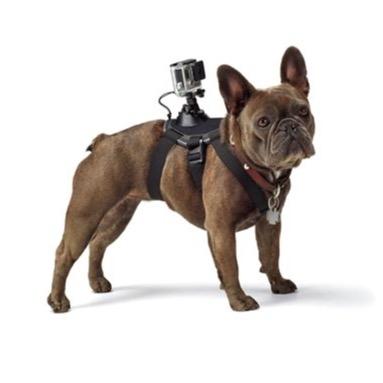 Suporte Peitoral Canino GoPro - ADOGM-OQ1